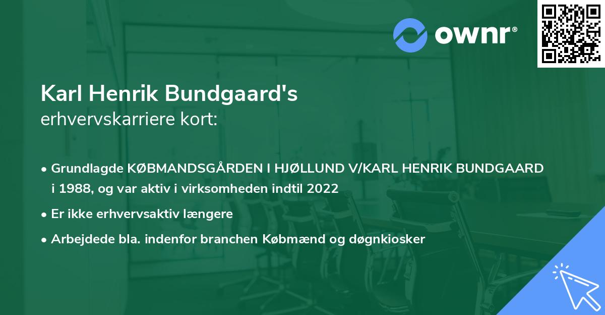 Karl Henrik Bundgaard's erhvervskarriere kort