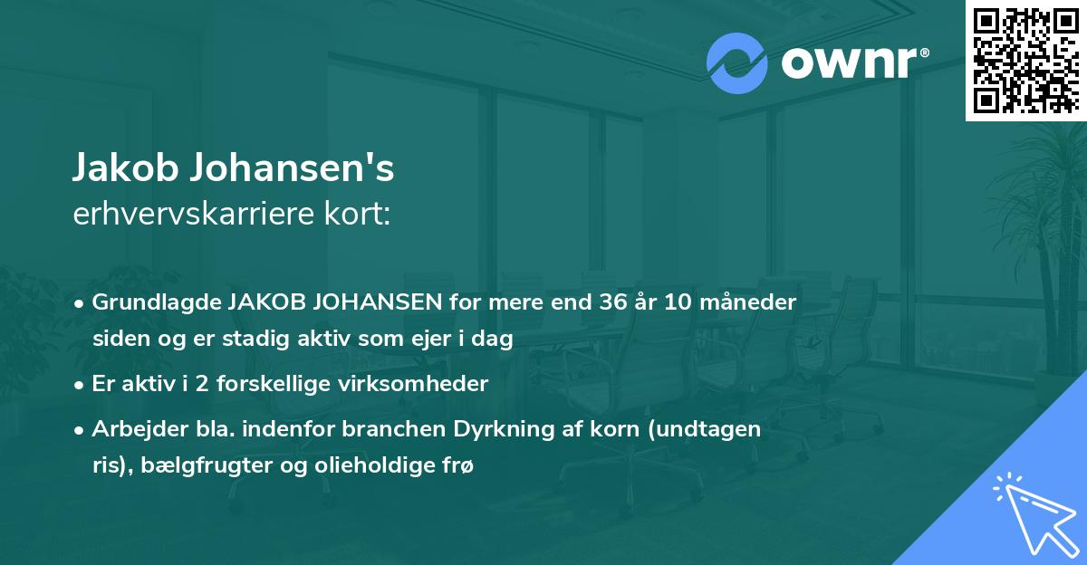 Jakob Johansen's erhvervskarriere kort