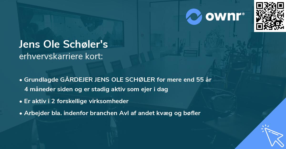 Jens Ole Schøler's erhvervskarriere kort