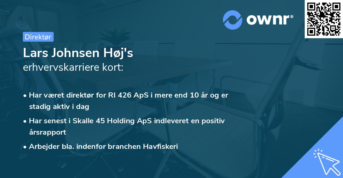 Lars Johnsen Høj's erhvervskarriere kort