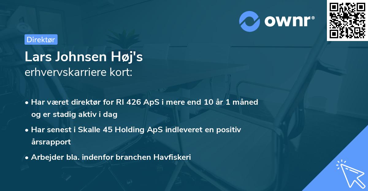 Lars Johnsen Høj's erhvervskarriere kort