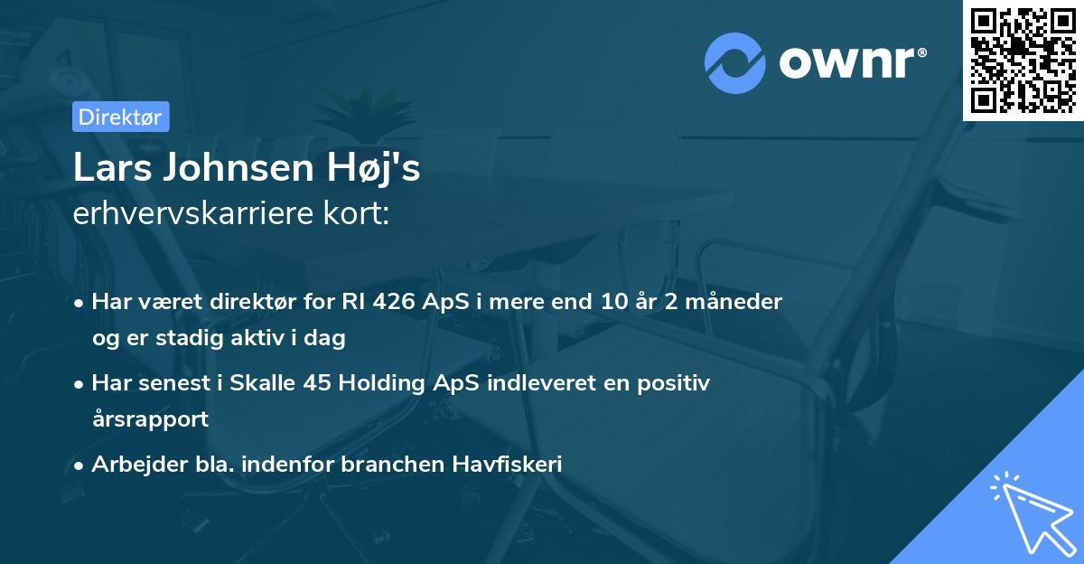 Lars Johnsen Høj's erhvervskarriere kort