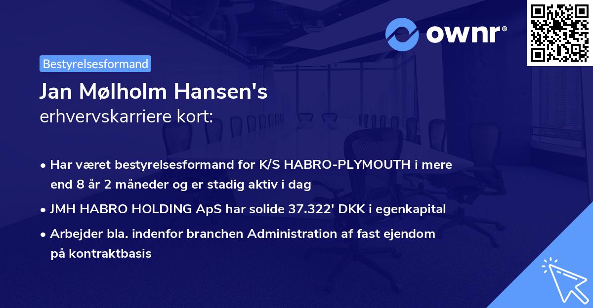 Jan Mølholm Hansen's erhvervskarriere kort