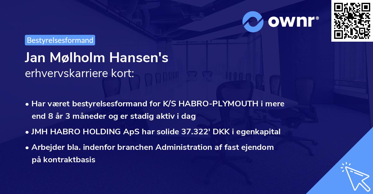 Jan Mølholm Hansen's erhvervskarriere kort