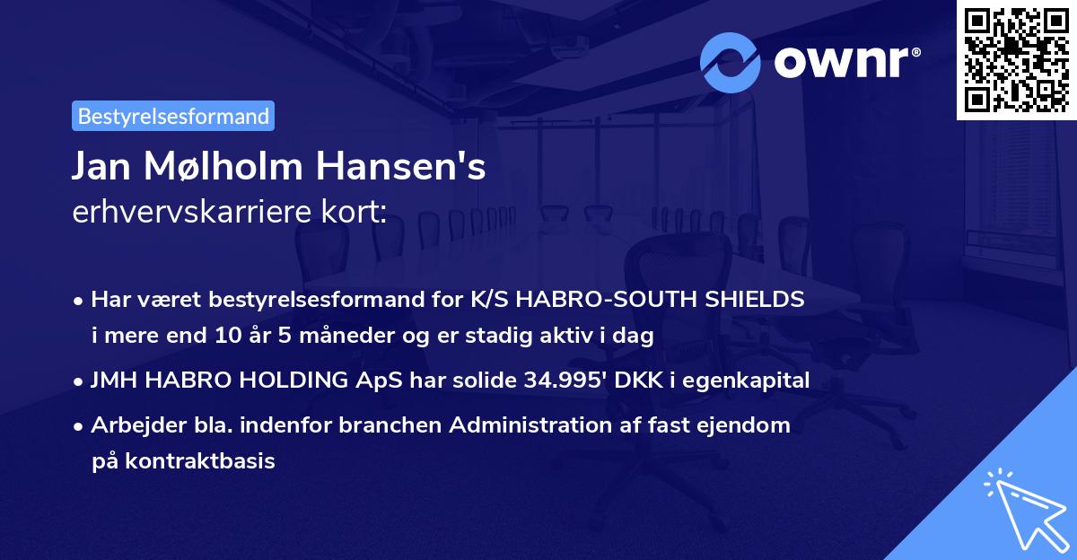 Jan Mølholm Hansen's erhvervskarriere kort