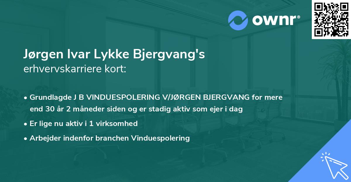 Jørgen Ivar Lykke Bjergvang's erhvervskarriere kort