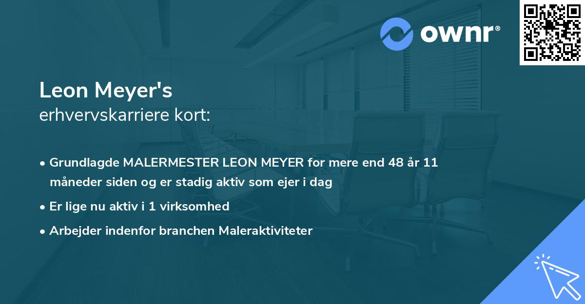Leon Meyer's erhvervskarriere kort