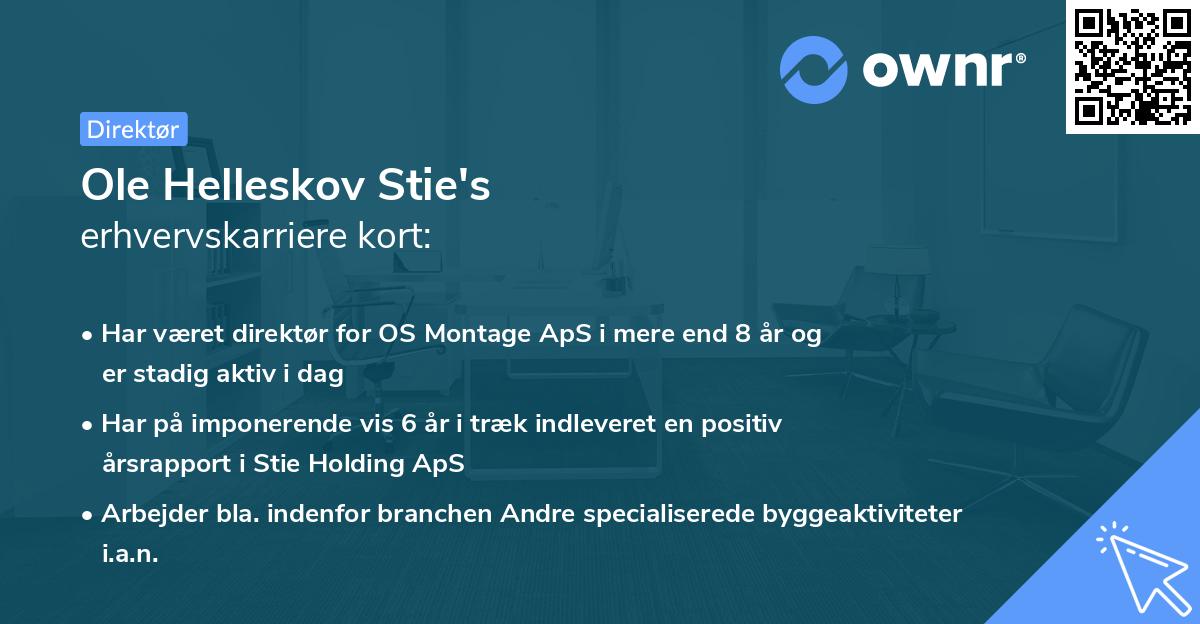 Ole Helleskov Stie's erhvervskarriere kort
