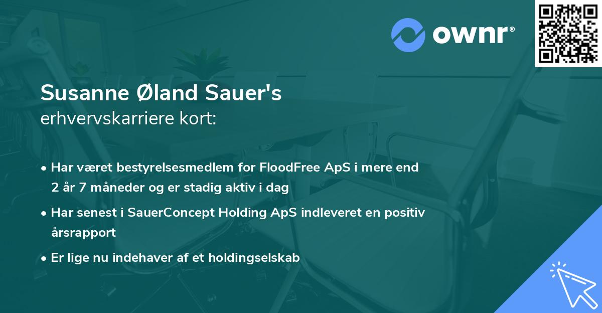 Susanne Øland Sauer's erhvervskarriere kort