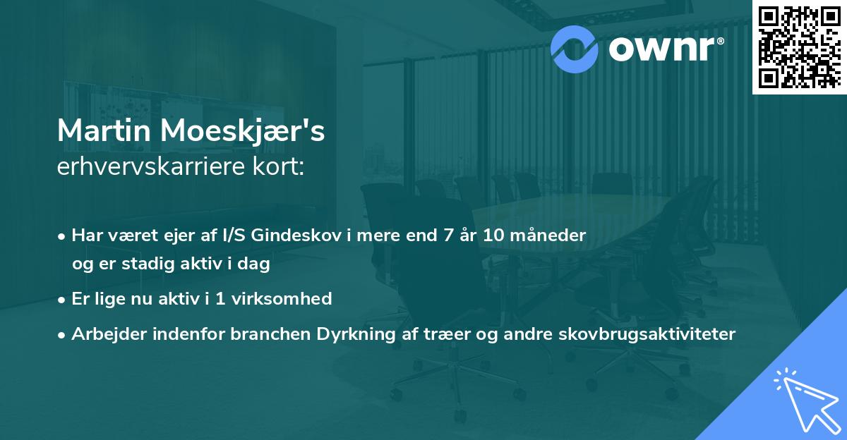 Martin Moeskjær's erhvervskarriere kort