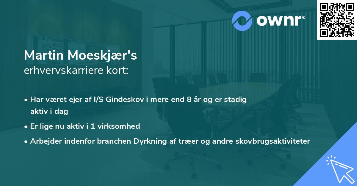 Martin Moeskjær's erhvervskarriere kort