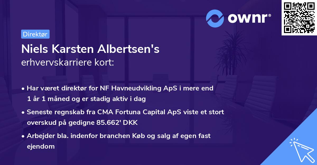 Niels Karsten Albertsen's erhvervskarriere kort