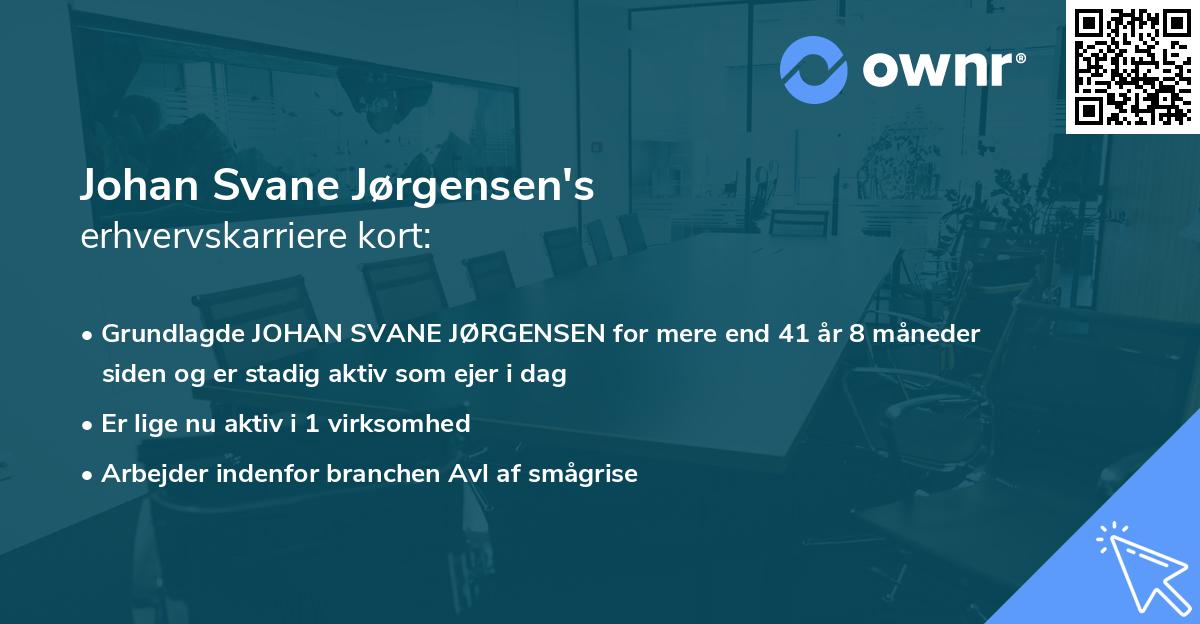 Johan Svane Jørgensen's erhvervskarriere kort