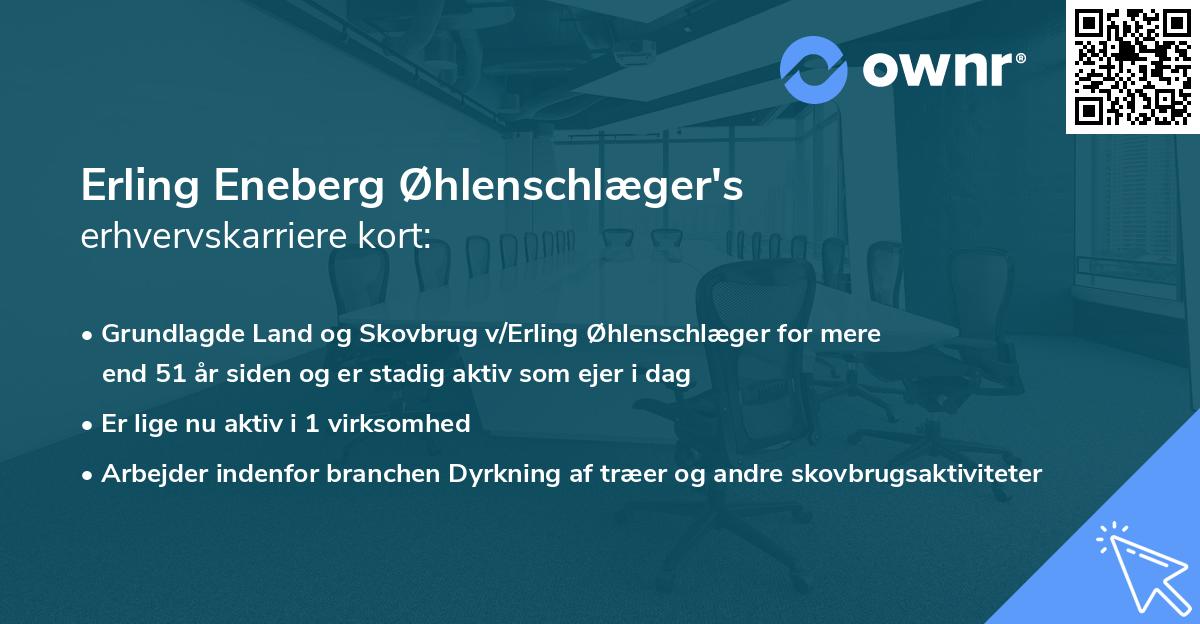 Erling Eneberg Øhlenschlæger's erhvervskarriere kort