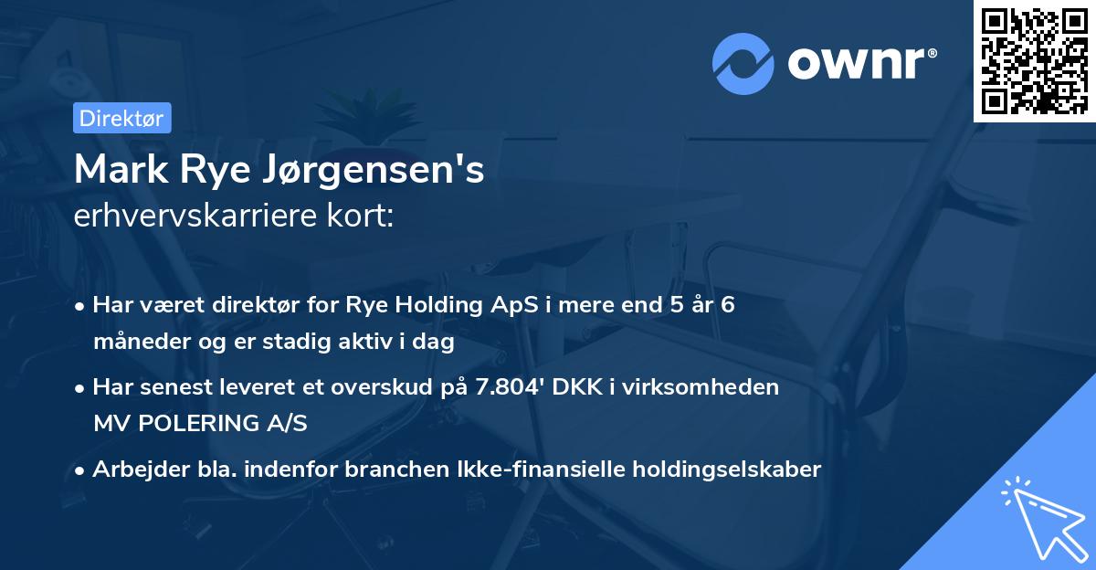Mark Rye Jørgensen's erhvervskarriere kort