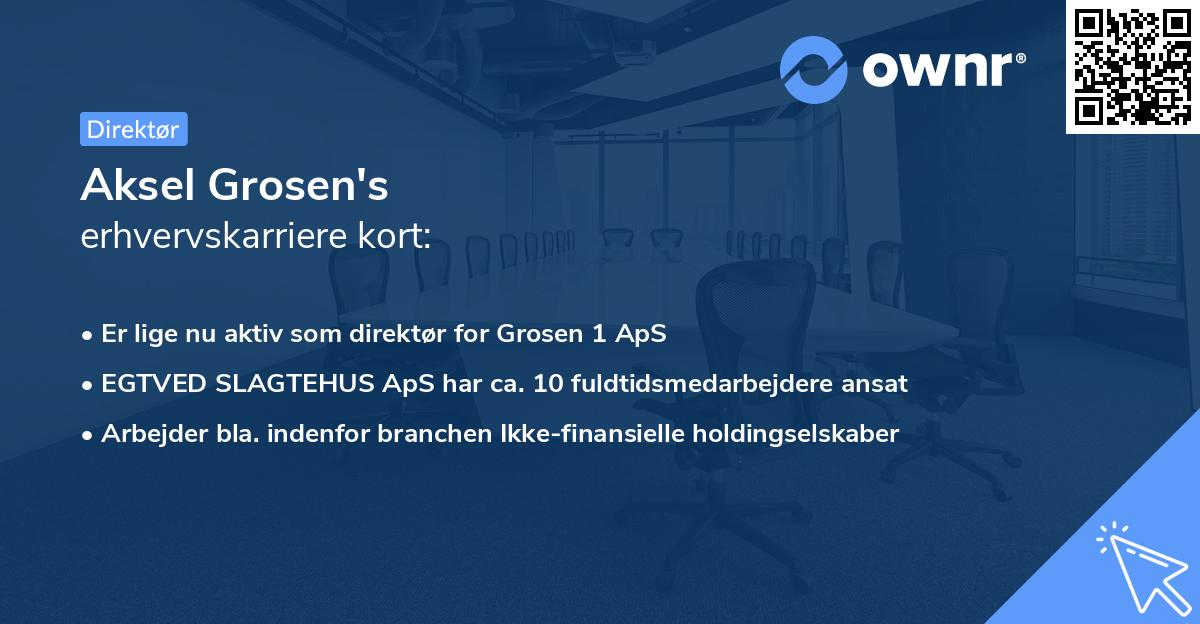 Aksel Grosen's erhvervskarriere kort