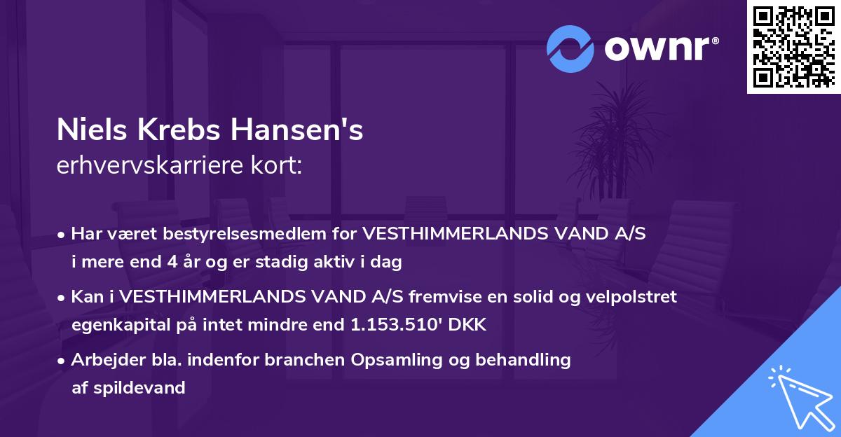 Niels Krebs Hansen's erhvervskarriere kort