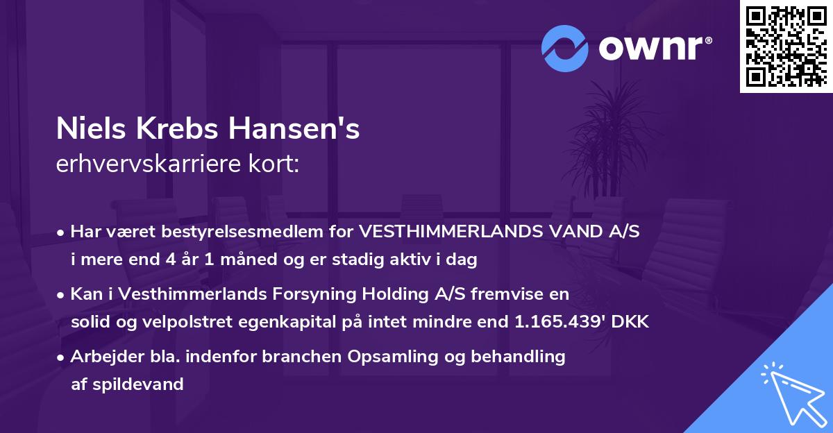 Niels Krebs Hansen's erhvervskarriere kort