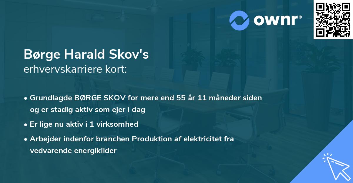 Børge Harald Skov's erhvervskarriere kort