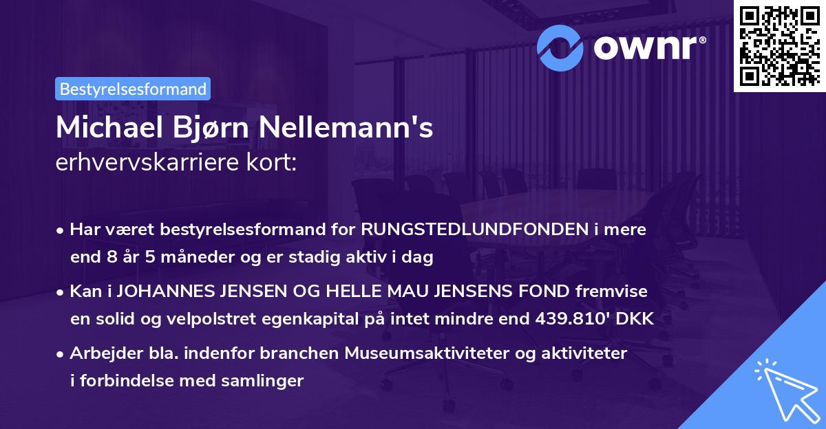 Michael Bjørn Nellemann's erhvervskarriere kort
