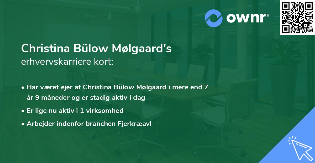 Christina Bülow Mølgaard's erhvervskarriere kort