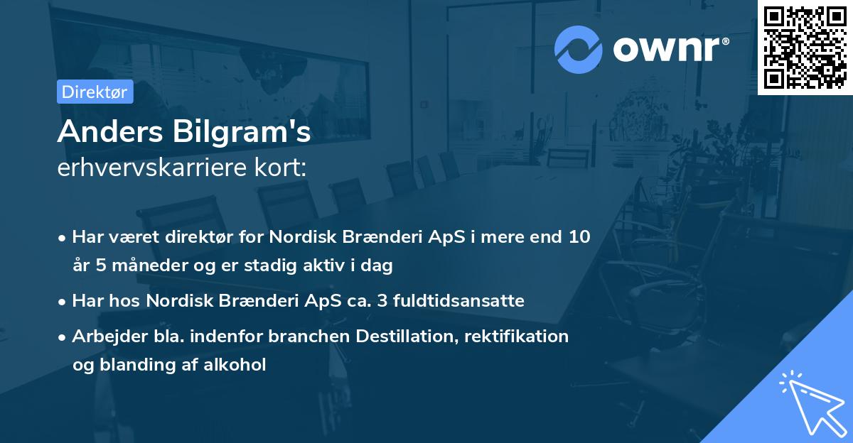 Anders Bilgram's erhvervskarriere kort