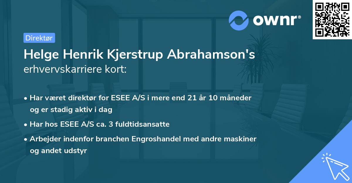 Helge Henrik Kjerstrup Abrahamson's erhvervskarriere kort