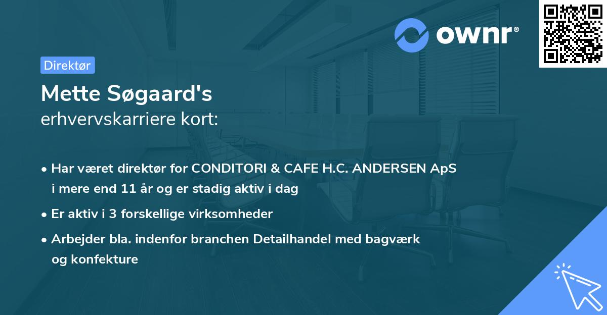 Mette Søgaard's erhvervskarriere kort