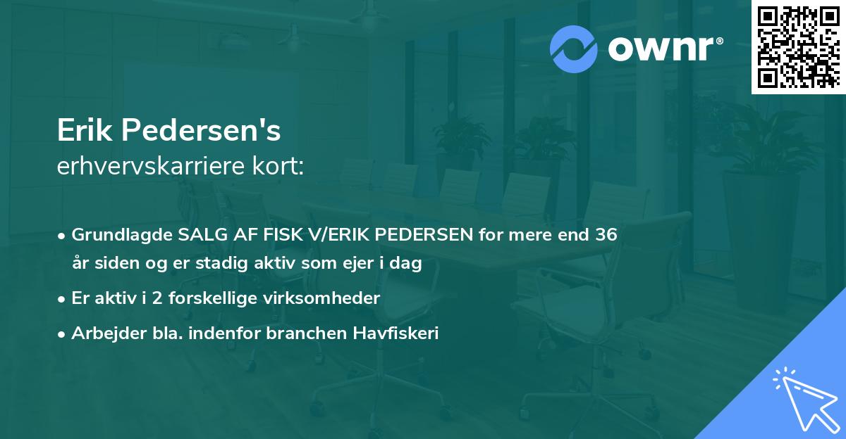 Erik Pedersen's erhvervskarriere kort