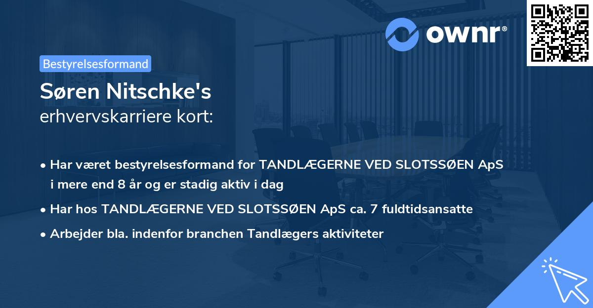 Søren Nitschke's erhvervskarriere kort