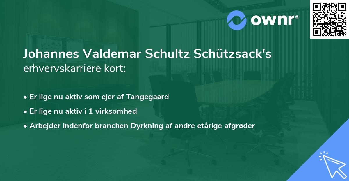 Johannes Valdemar Schultz Schützsack's erhvervskarriere kort