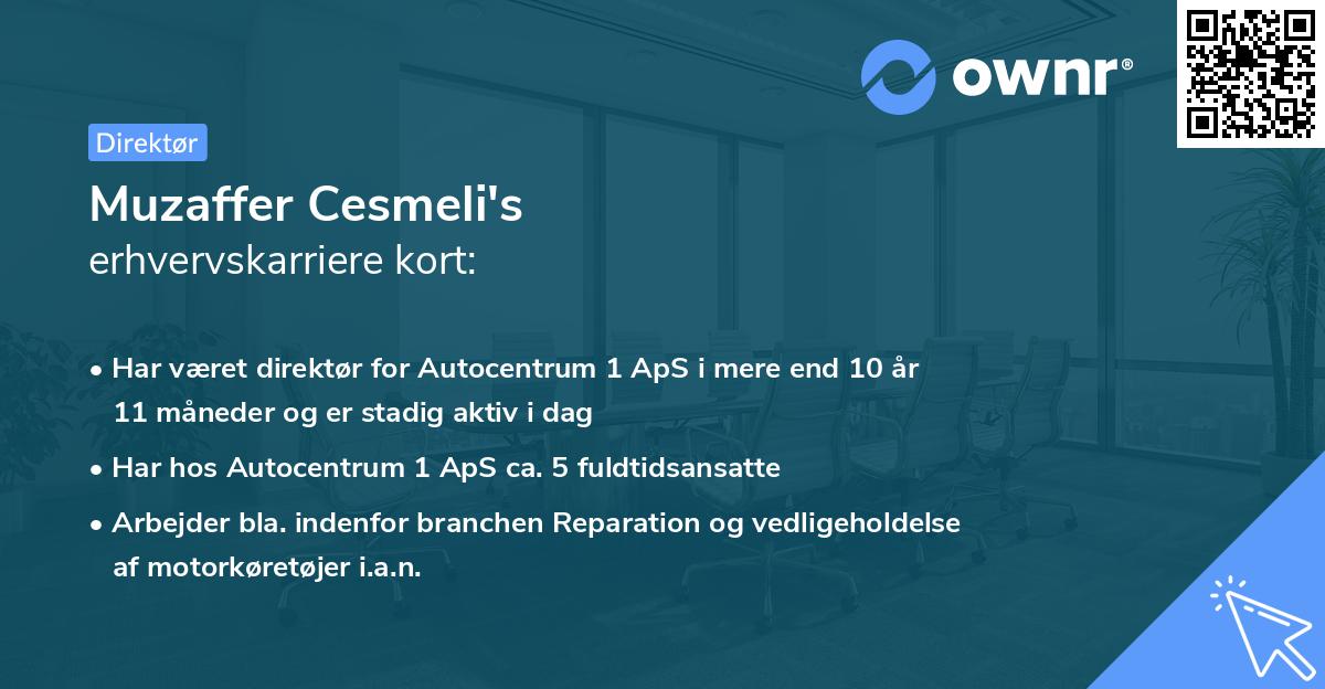 Muzaffer Cesmeli's erhvervskarriere kort