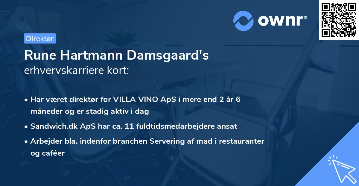 Rune Hartmann Damsgaard's erhvervskarriere kort