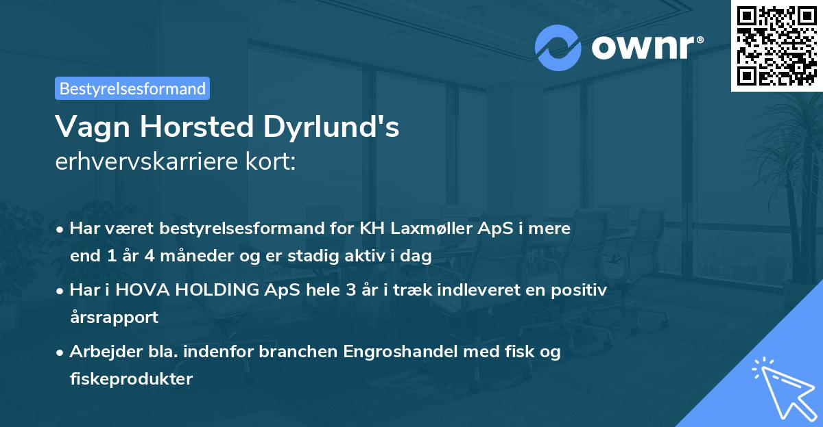 Vagn Horsted Dyrlund's erhvervskarriere kort