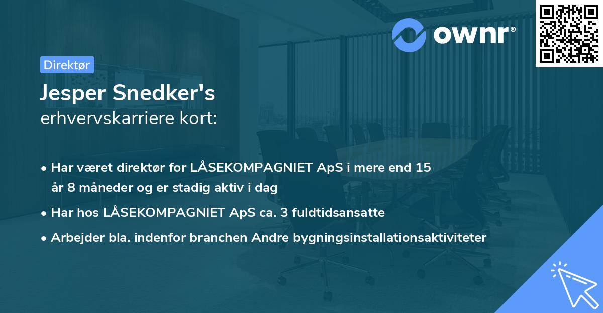 Jesper Snedker's erhvervskarriere kort
