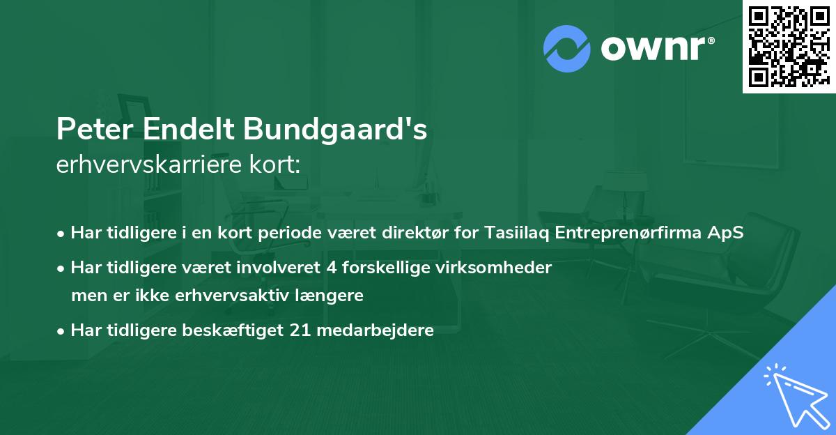 Peter Endelt Bundgaard's erhvervskarriere kort