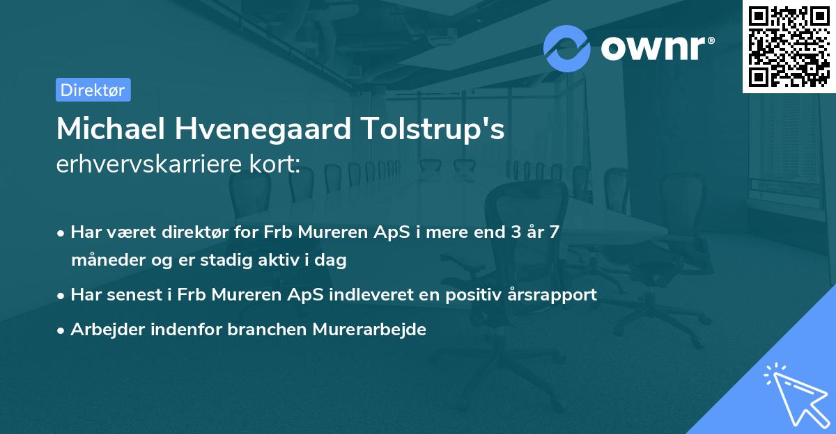 Michael Hvenegaard Tolstrup's erhvervskarriere kort