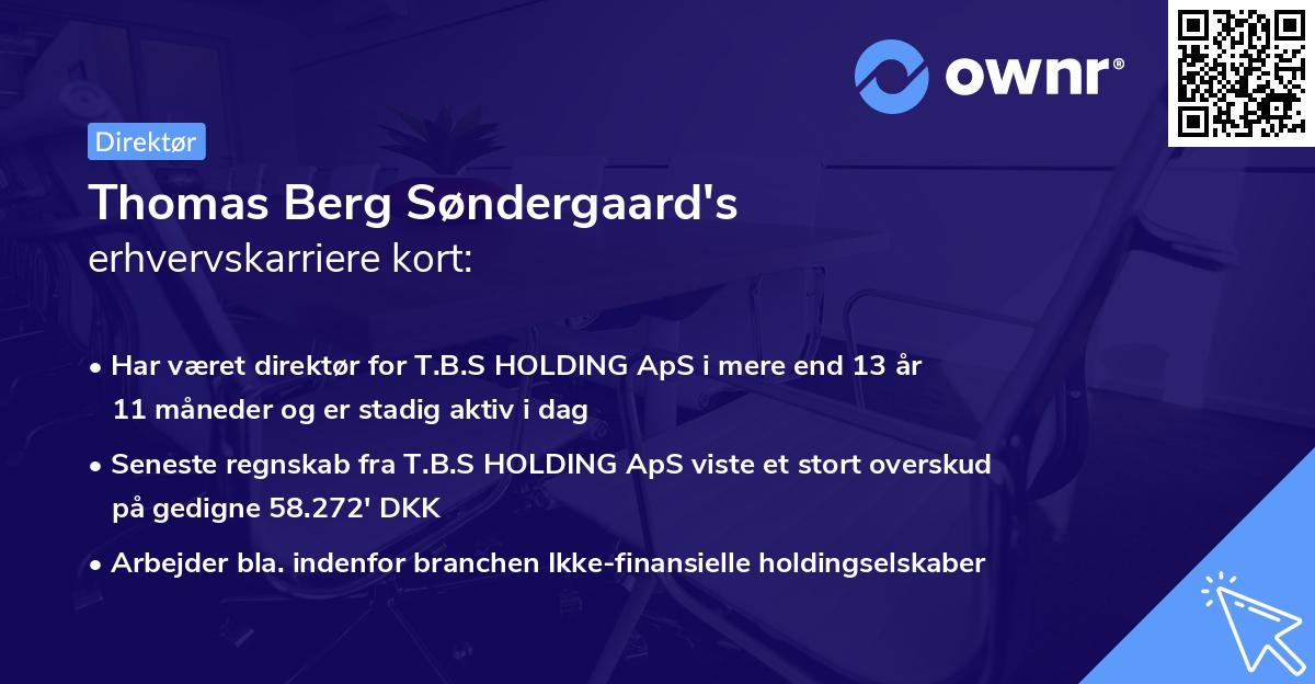 Thomas Berg Søndergaard's erhvervskarriere kort
