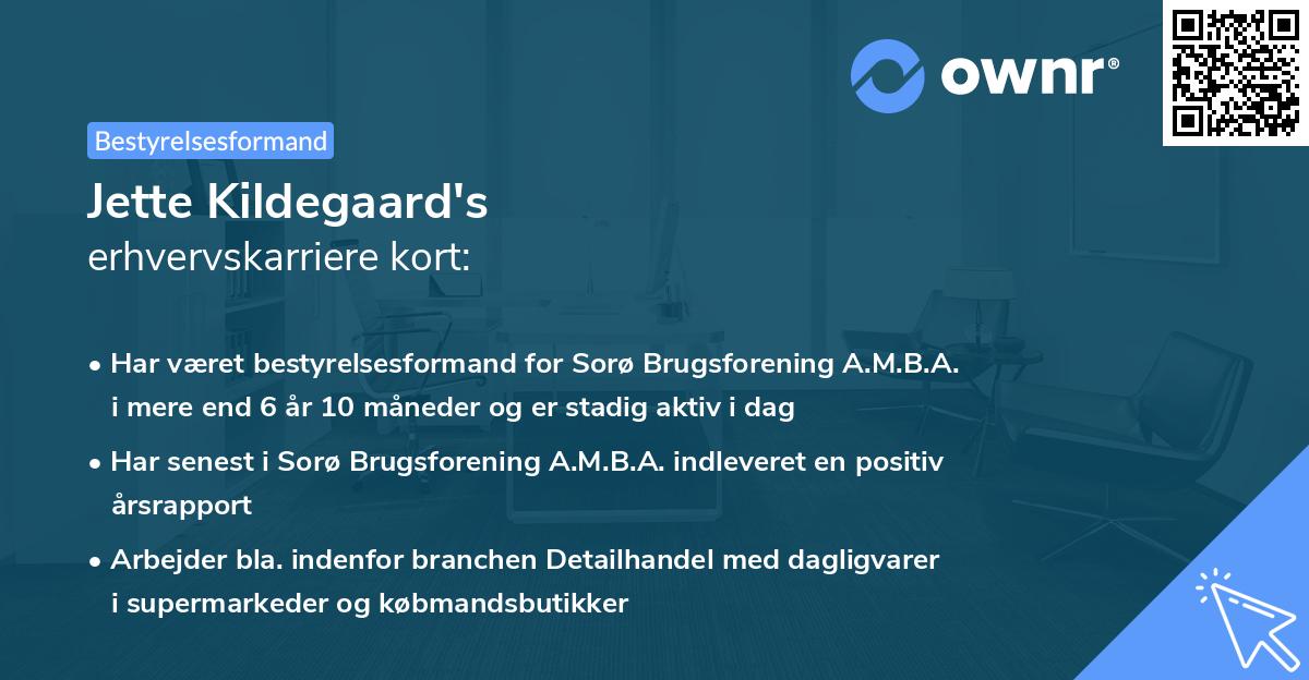 Jette Kildegaard's erhvervskarriere kort