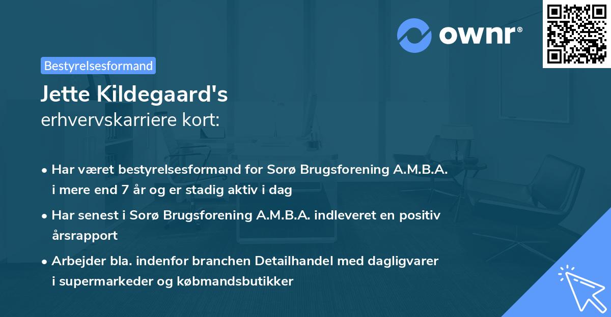 Jette Kildegaard's erhvervskarriere kort