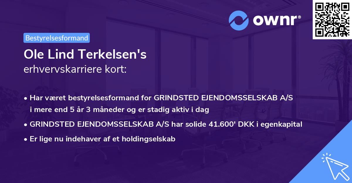 Ole Lind Terkelsen's erhvervskarriere kort