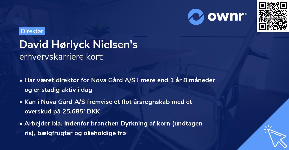 David Hørlyck Nielsen's erhvervskarriere kort