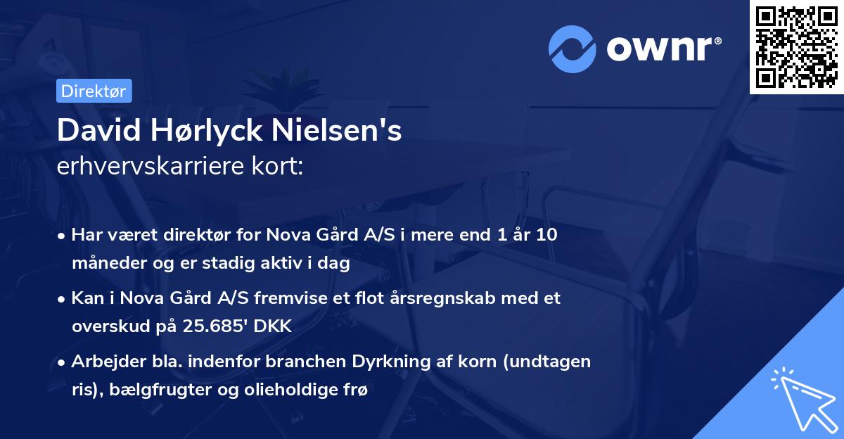 David Hørlyck Nielsen's erhvervskarriere kort