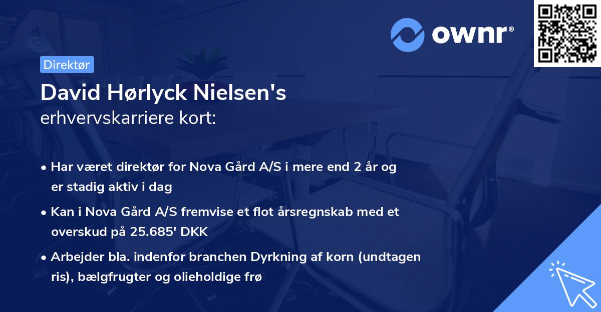 David Hørlyck Nielsen's erhvervskarriere kort