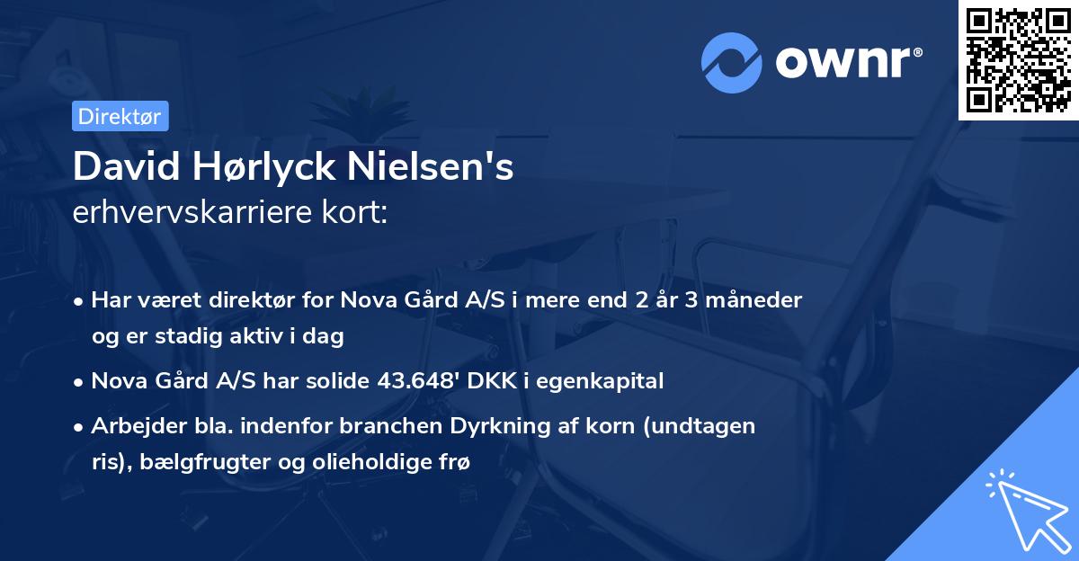 David Hørlyck Nielsen's erhvervskarriere kort