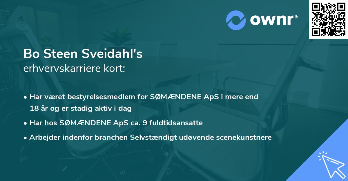 Bo Steen Sveidahl's erhvervskarriere kort
