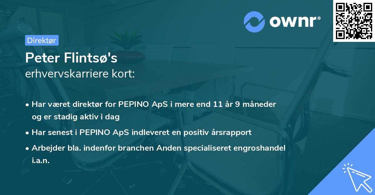 Peter Flintsø's erhvervskarriere kort
