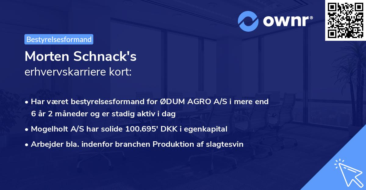 Morten Schnack's erhvervskarriere kort