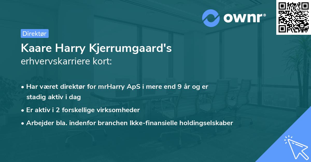 Kaare Harry Kjerrumgaard's erhvervskarriere kort