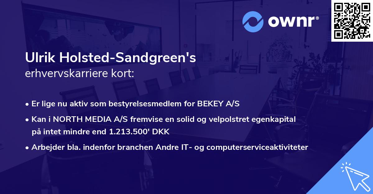 Ulrik Holsted-Sandgreen's erhvervskarriere kort